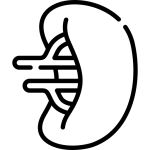 Dalak Ameliyatları